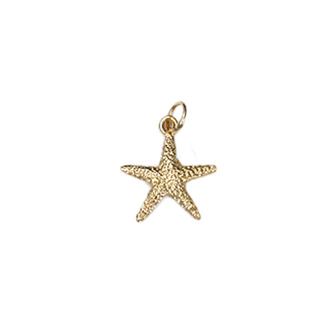 Medium Starfish Charm in 14kt Gold