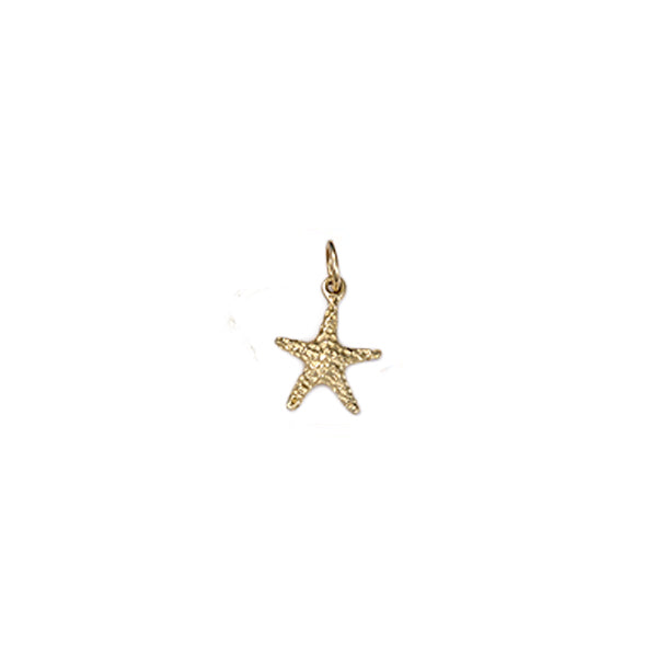 Small Starfish Bracelet Charm in 14kt Gold