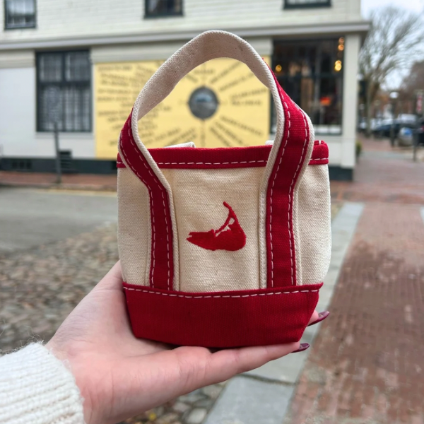 Mini Nantucket Tote In Red