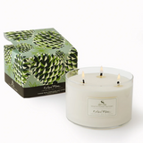 Roland Pine Triple-Wick Soy Candle